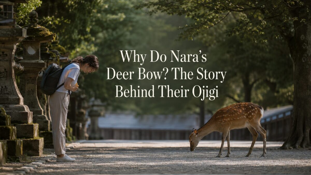 A deer bowing to a visitor in Nara Park beneath the title “Why Do Nara’s Deer Bow? The Story Behind Their Ojigi”