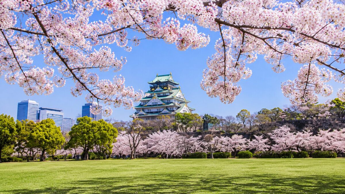 Spring Begins with Cherry Blossoms