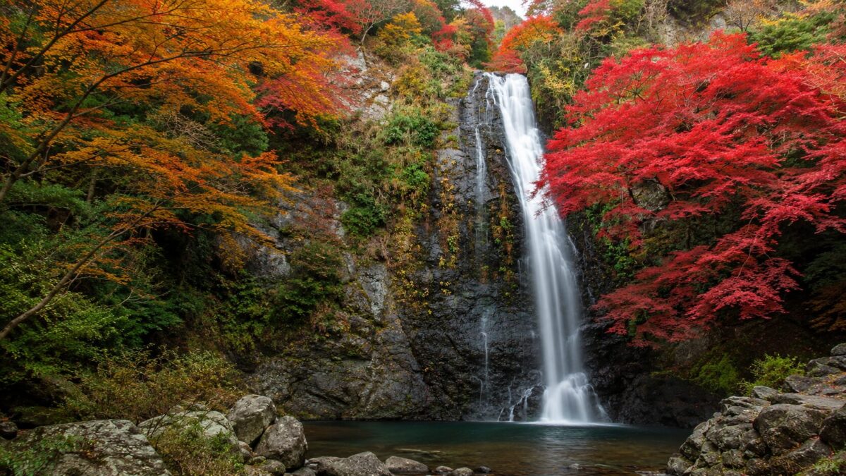 Autumn Is a Season to Enjoy Nature and Food