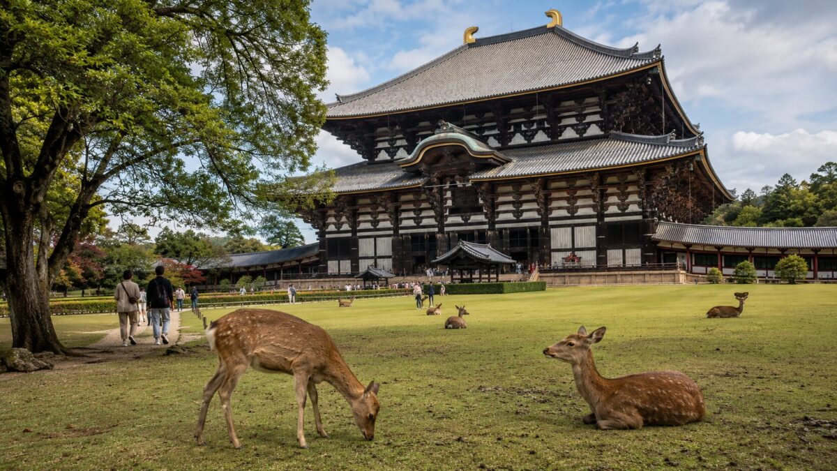 Visitors walking toward Todai-ji Temple through Nara Park
